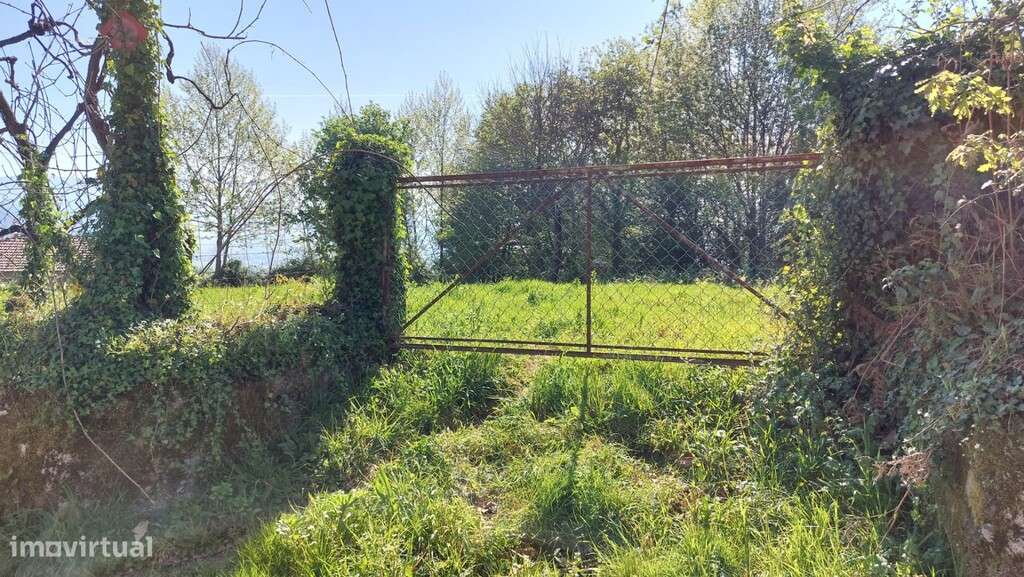 Duas moradias em pedra p/ restauro e terreno - Eira Vedra-16