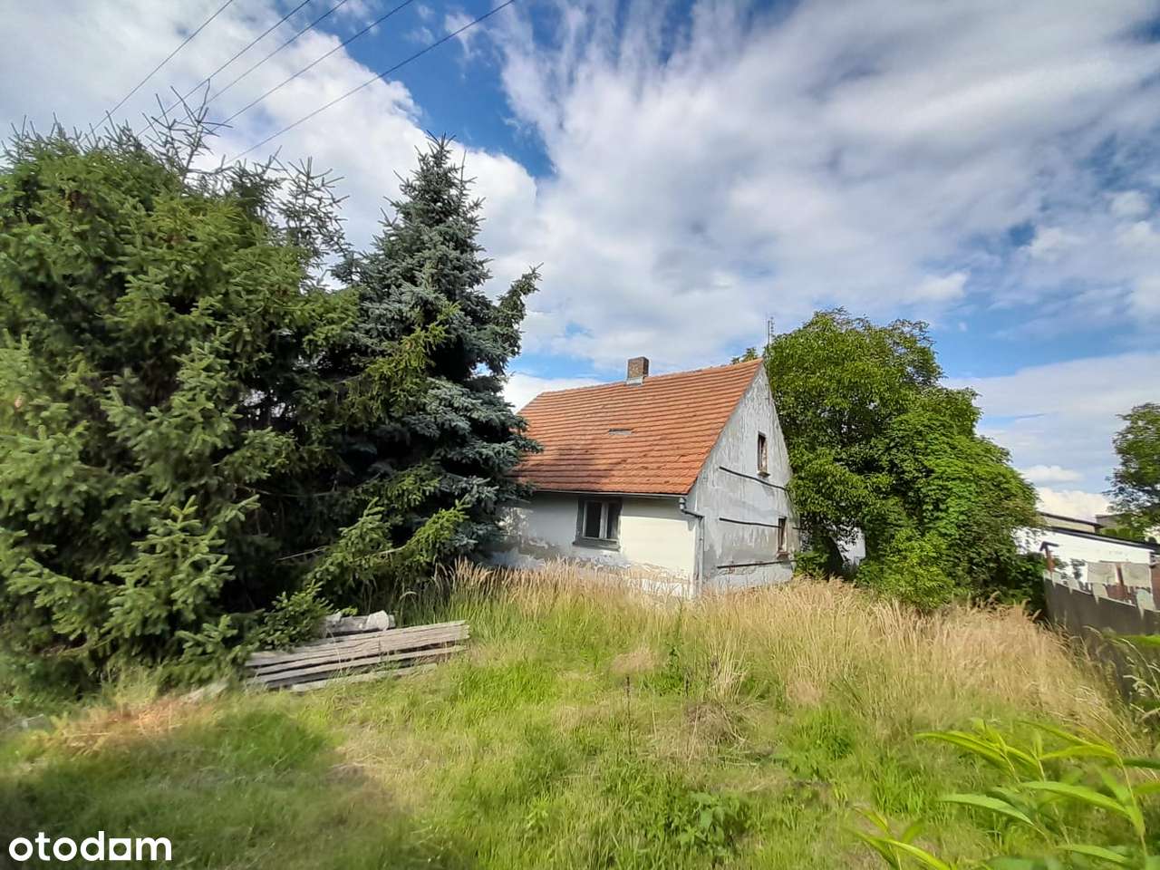 Dom na ogromnej działce wraz z halą 1485m2  – Masłowo - Pełny obrazek: 5/10