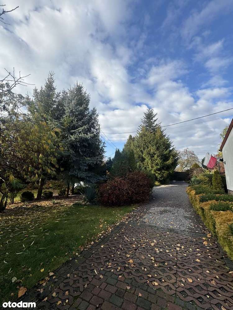 Zaczarowany ogród pod Wojciechowem - garaż, warsztat, piwniczka/schron-6