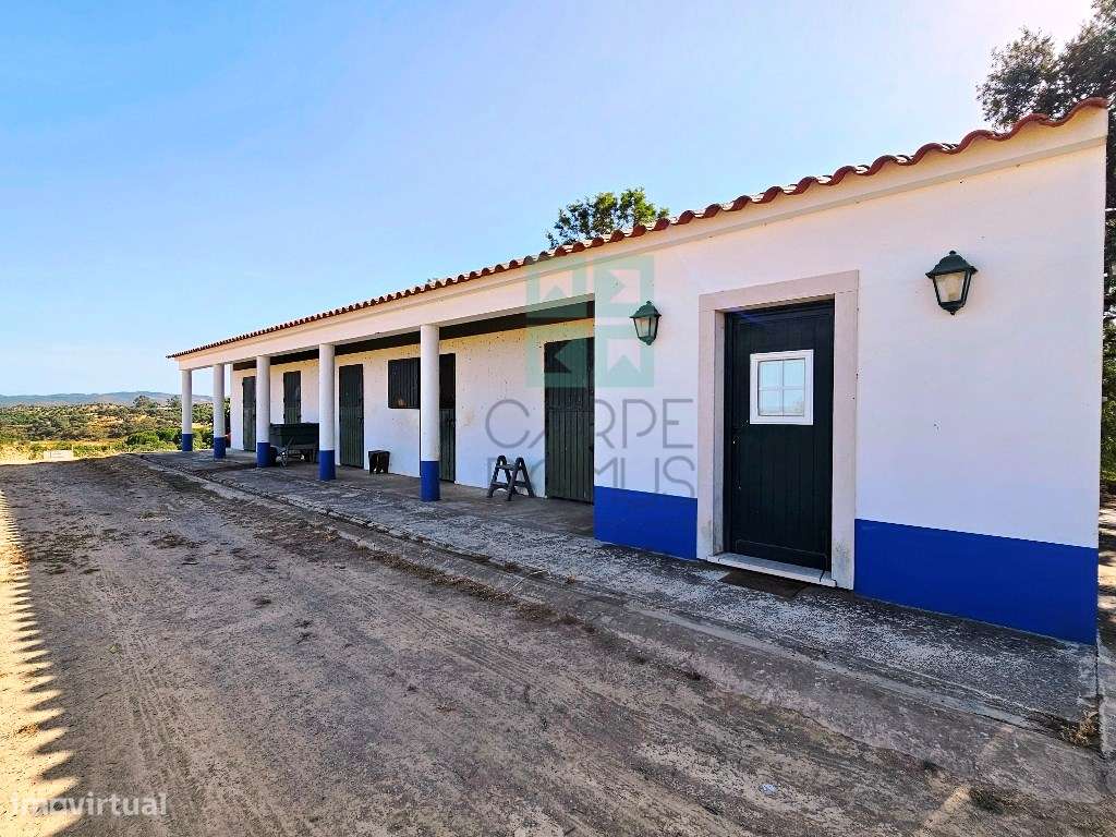 Herdade equestre com moradia T5 e piscina, 93,5ha, em Ourique, Alen...-23