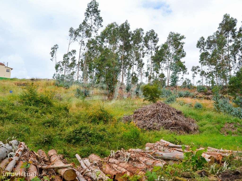 Terreno Milheirós para Moradias-14