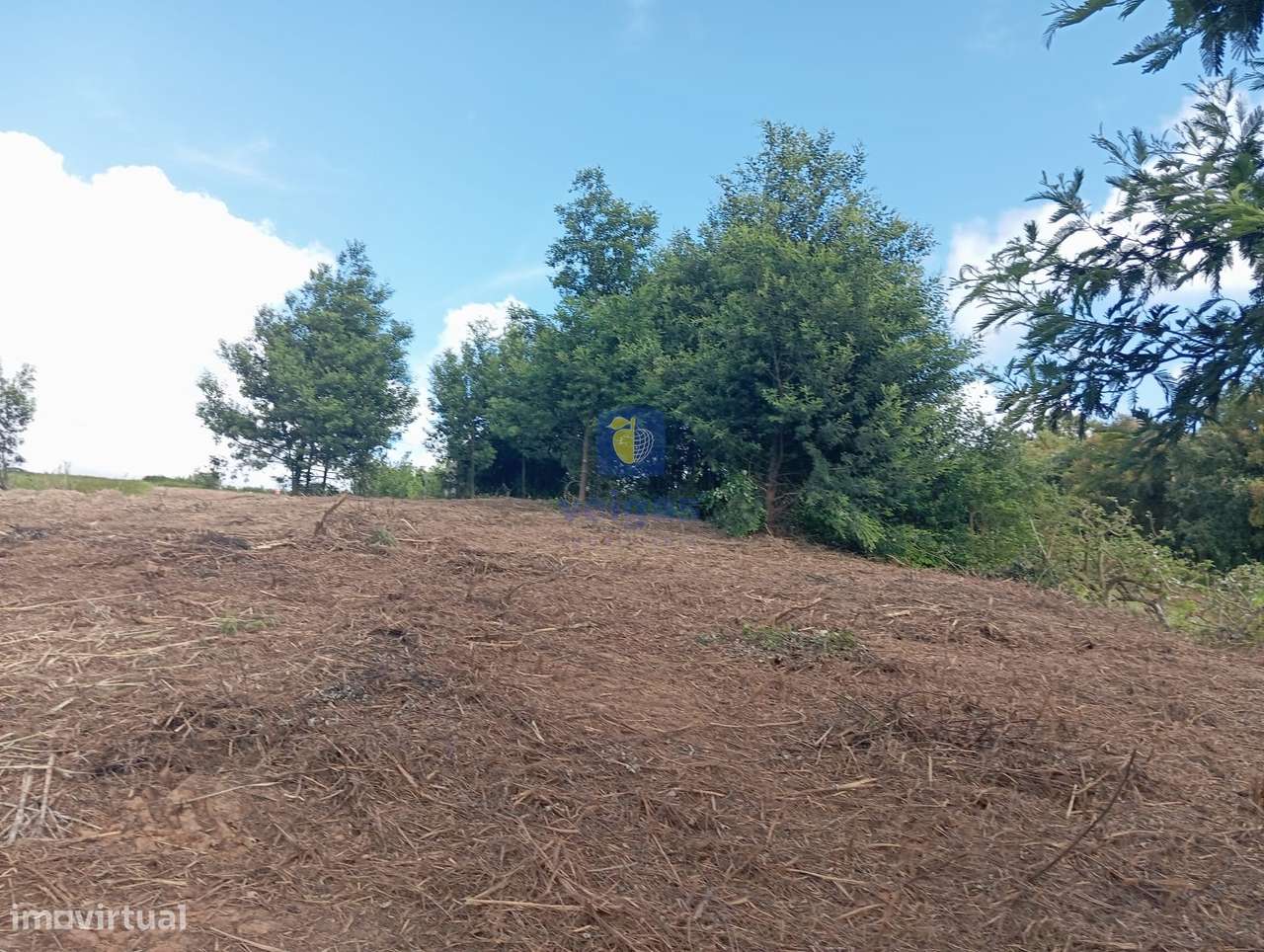 Terreno com 4.920m2, com PDM de Construção, em Zona Calma e com uma Ex - Grande imagem: 4/8