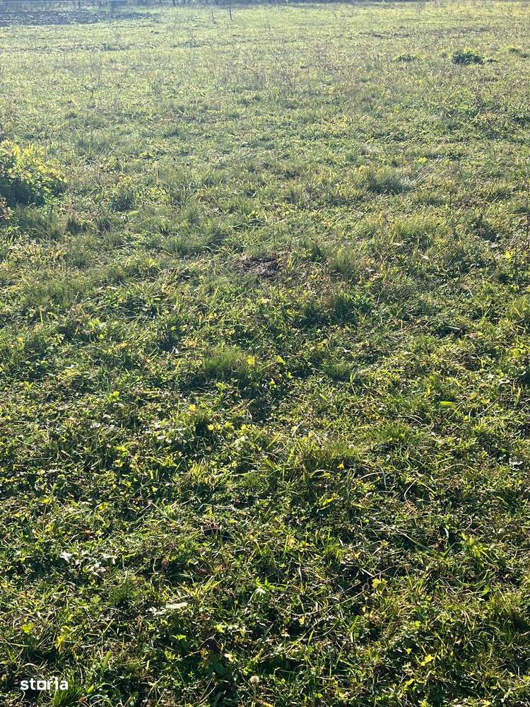 Teren 3100 MP Unirea - pretabil complex case-0