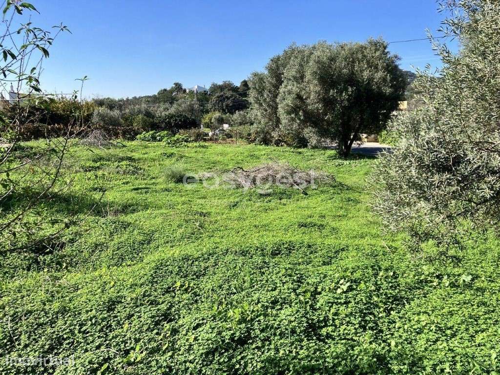 Excelente Lote com uma área de 650,8 m2, com projeto aprovado em Estoi - Grande imagem: 3/11