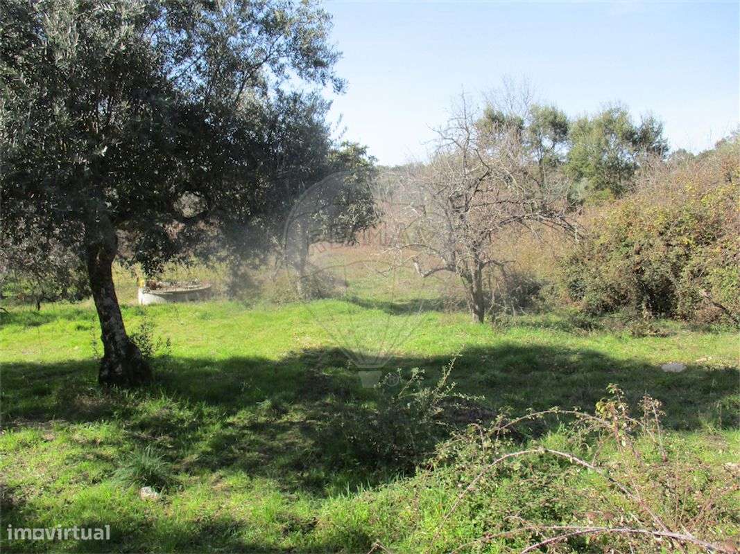 Quinta  para venda - Grande imagem: 5/24