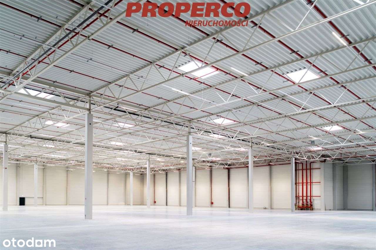 Nowoczesna hala 3124 m2, Kielce, blisko węzła S7 - Pełny obrazek: 4/6