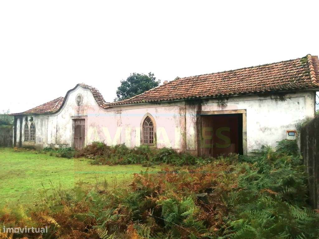 QUINTA - GIÃO-10