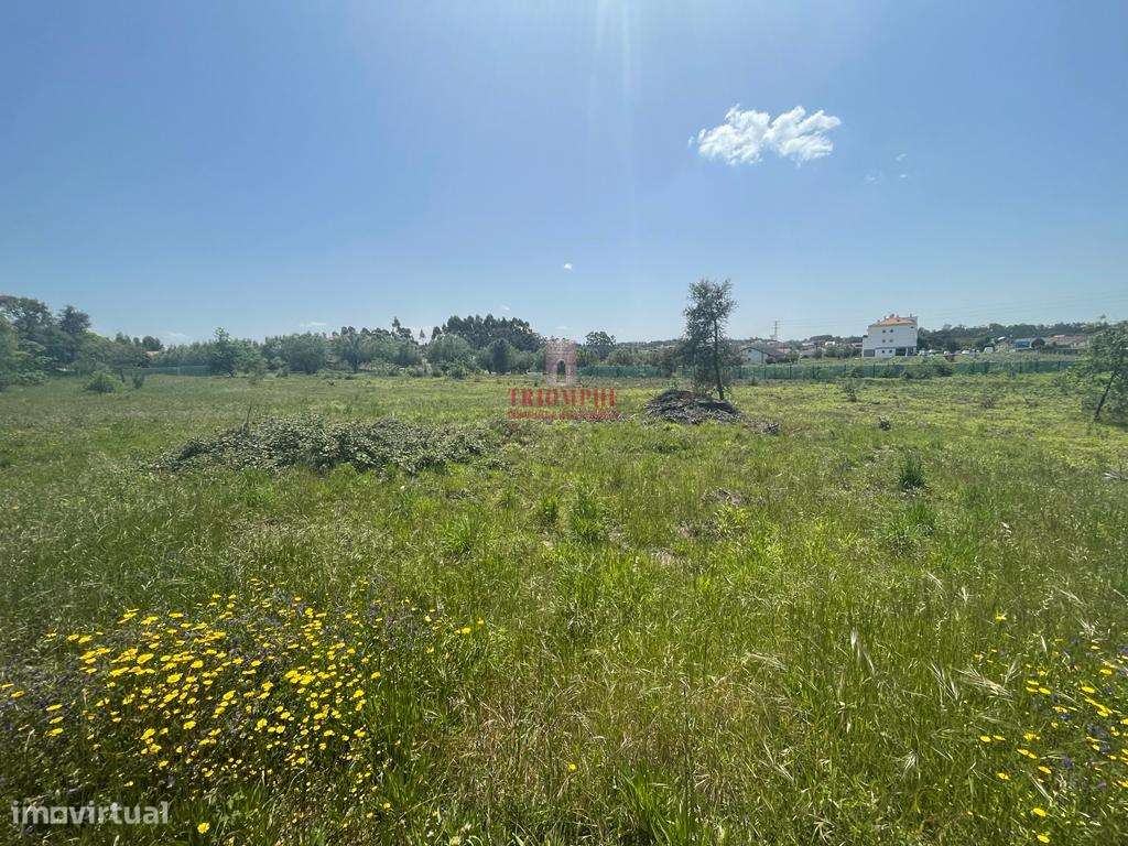 Terreno Rustico 6280m2, Vermoil, Pombal - Grande imagem: 5/17