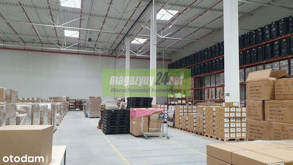 Hala magaz/prod 2164m2 Marki k. Warszawy -podnajem - Pełny obrazek: 4/14