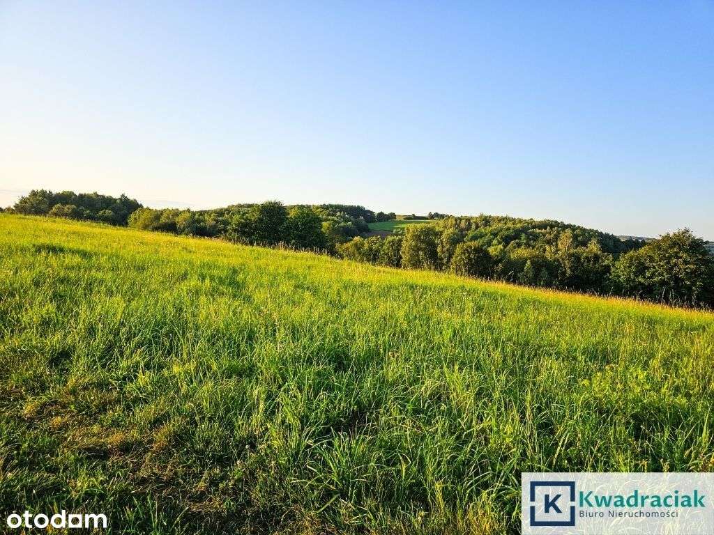 Działka w Lutczy idealna pod Inwestycję – 4,48 ha-9