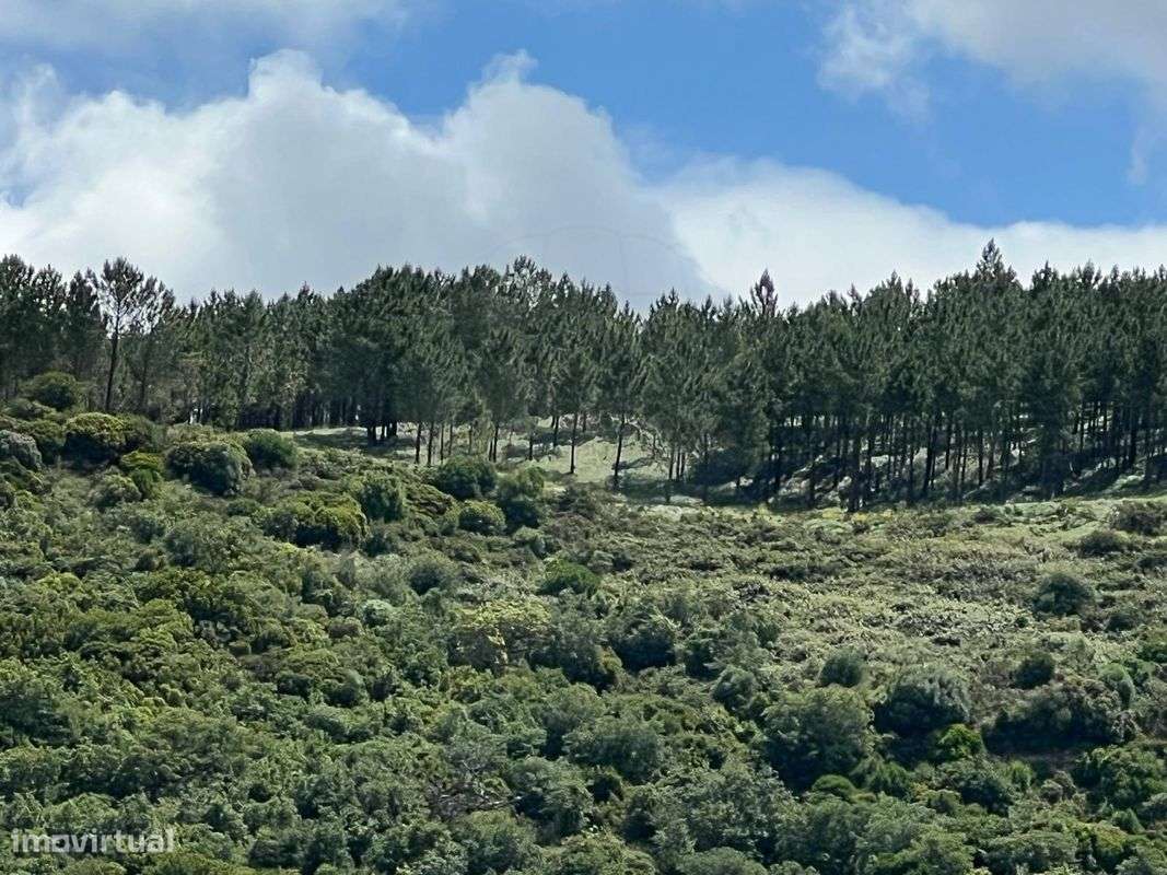 Terreno  para venda - Grande imagem: 5/8