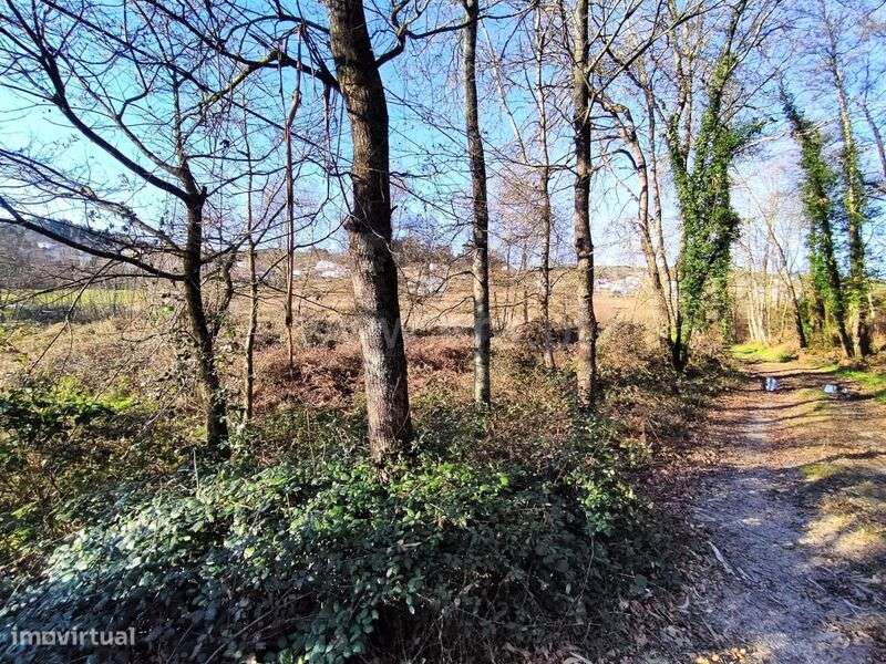 Terreno / Paços de Ferreira, Eiriz - Grande imagem: 3/6