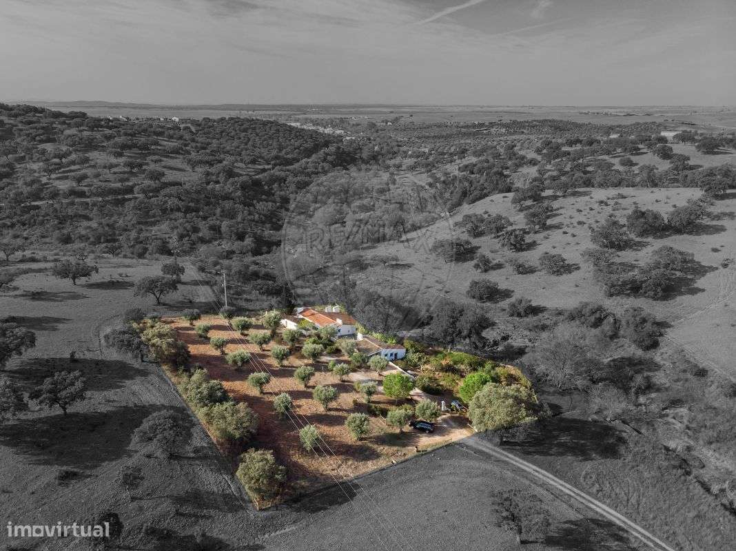 Quinta T4 para venda - Grande imagem: 3/41