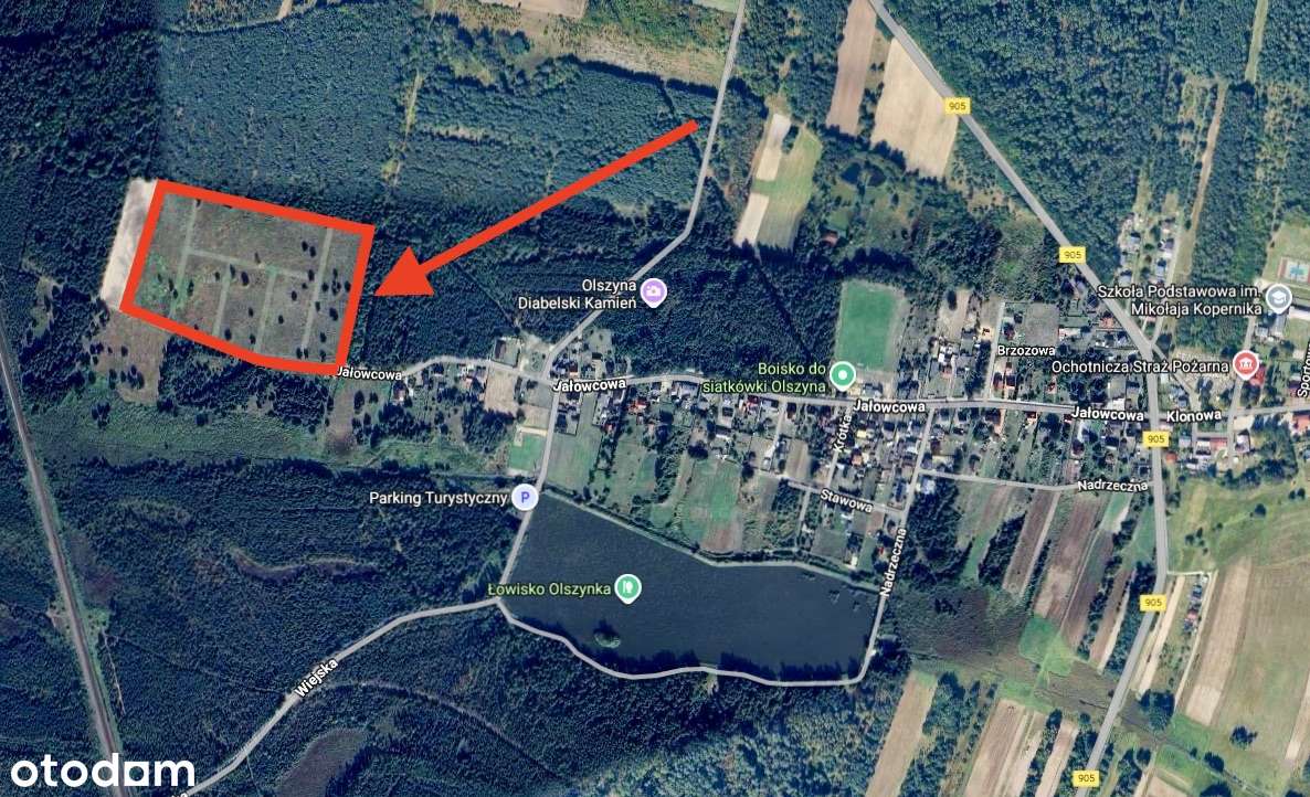 "LEŚNY ZAKĄTEK" - Olszyna koło Herb-18