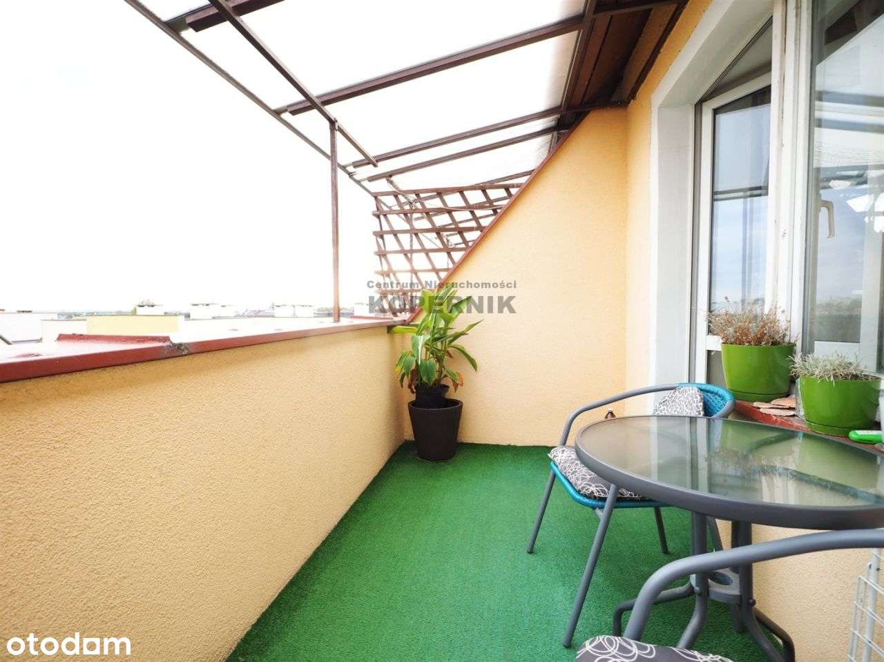 Niesamowicie Niska Cena!! 3 Pokoje - Pełny obrazek: 4/11