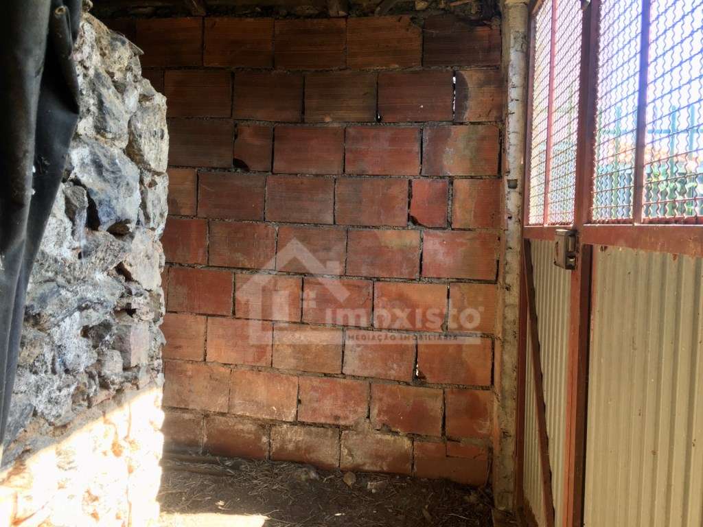 Casa de Campo T3 em Arega, Figueiró dos Vinhos-49