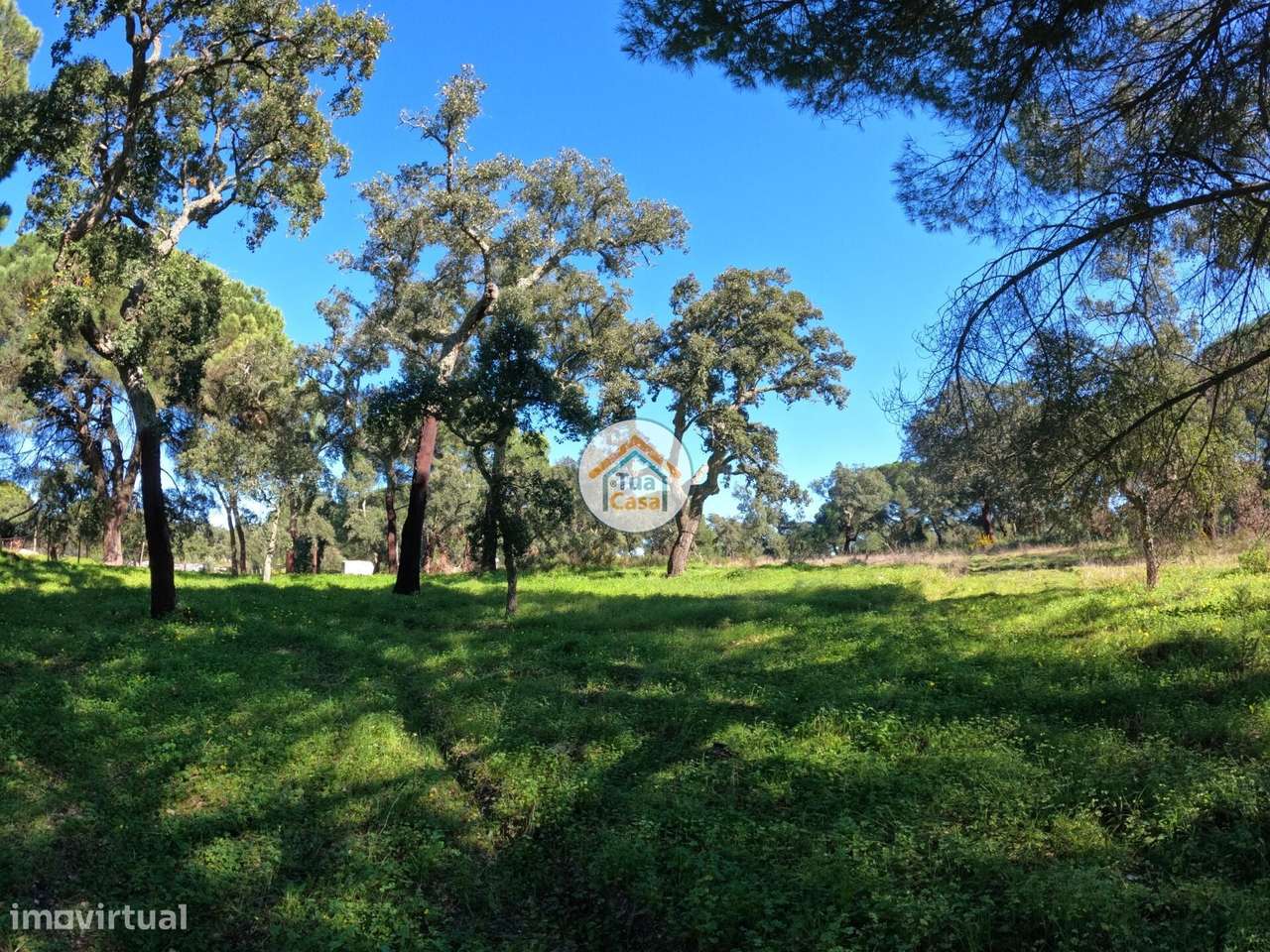 Terreno Rústico de 1,75 ha com Montado de Sobreiros – Oportunidade no - Grande imagem: 4/16