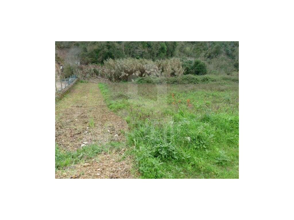 Terreno - Grande imagem: 4/6
