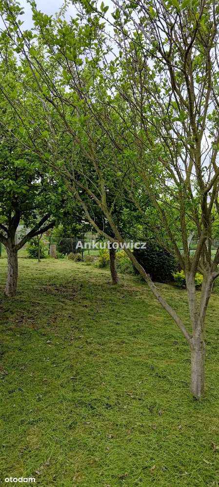 Działka ROD Barbara-2