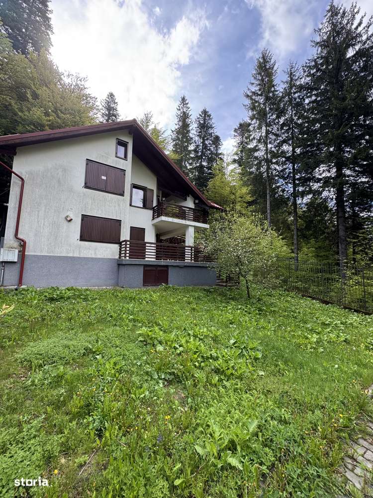 Casa de vacanta Predeal - Imagine principală: 4/19