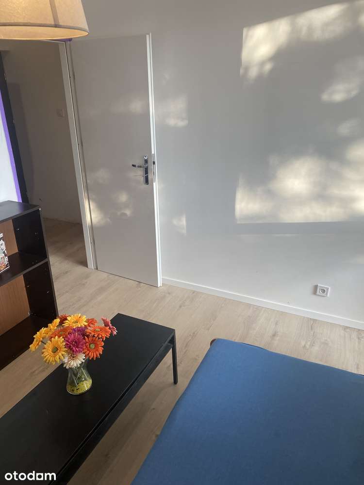 2-pok.ODDZIELNE (umeblowanie  wg potrzeb) + kuchnia + łazienka - Pełny obrazek: 5/20