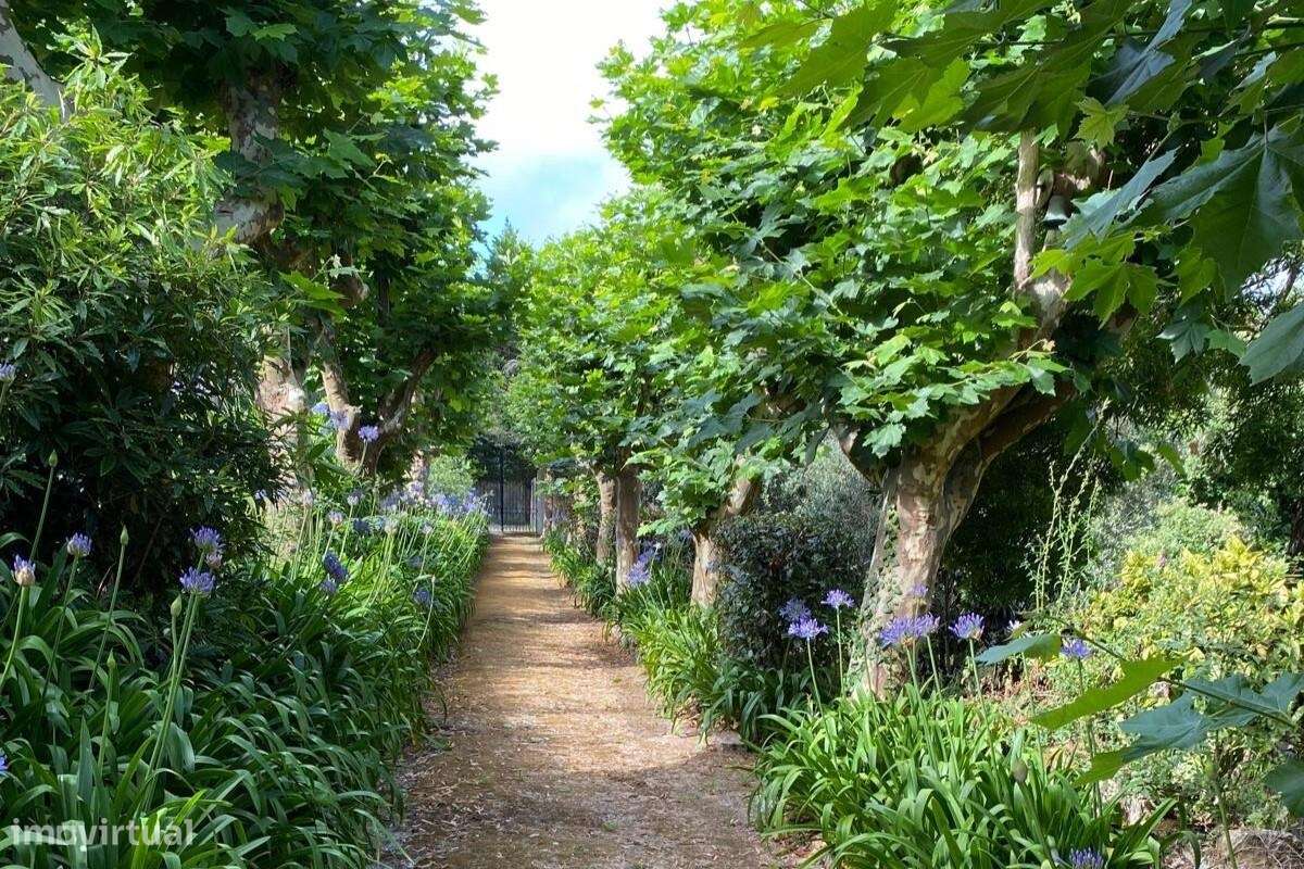 Arrendamento - Moradia TérreaT2 Sintra, Lourel - Grande imagem: 2/13