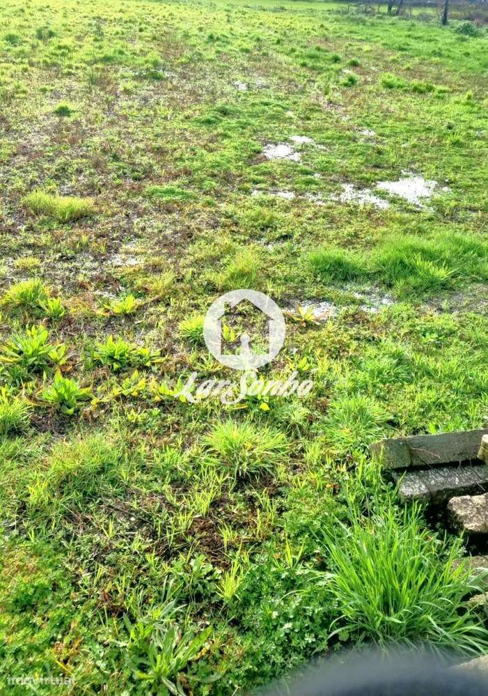 Excelente terreno em Esposende para Construção de Moradias-13