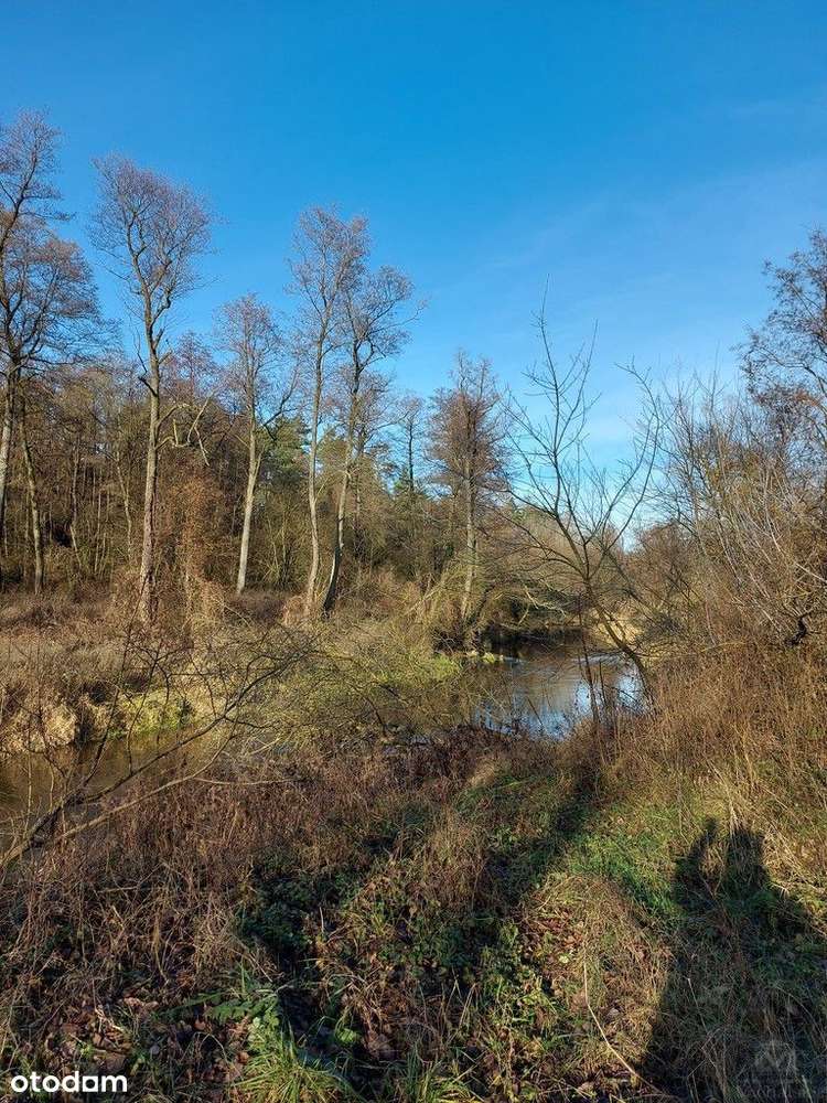 Dom, 86 m², Cieślin-10