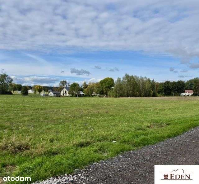 Na sprzedaż działka usługowo-mieszkaniowa 1,02 ha - Polaki, gm. Kotuń. - Pełny obrazek: 5/10