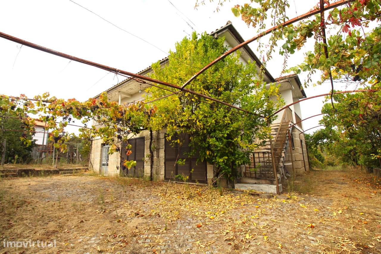 Quinta com 8.000 m² a apenas 10 km do centro de Viseu - Grande imagem: 3/44