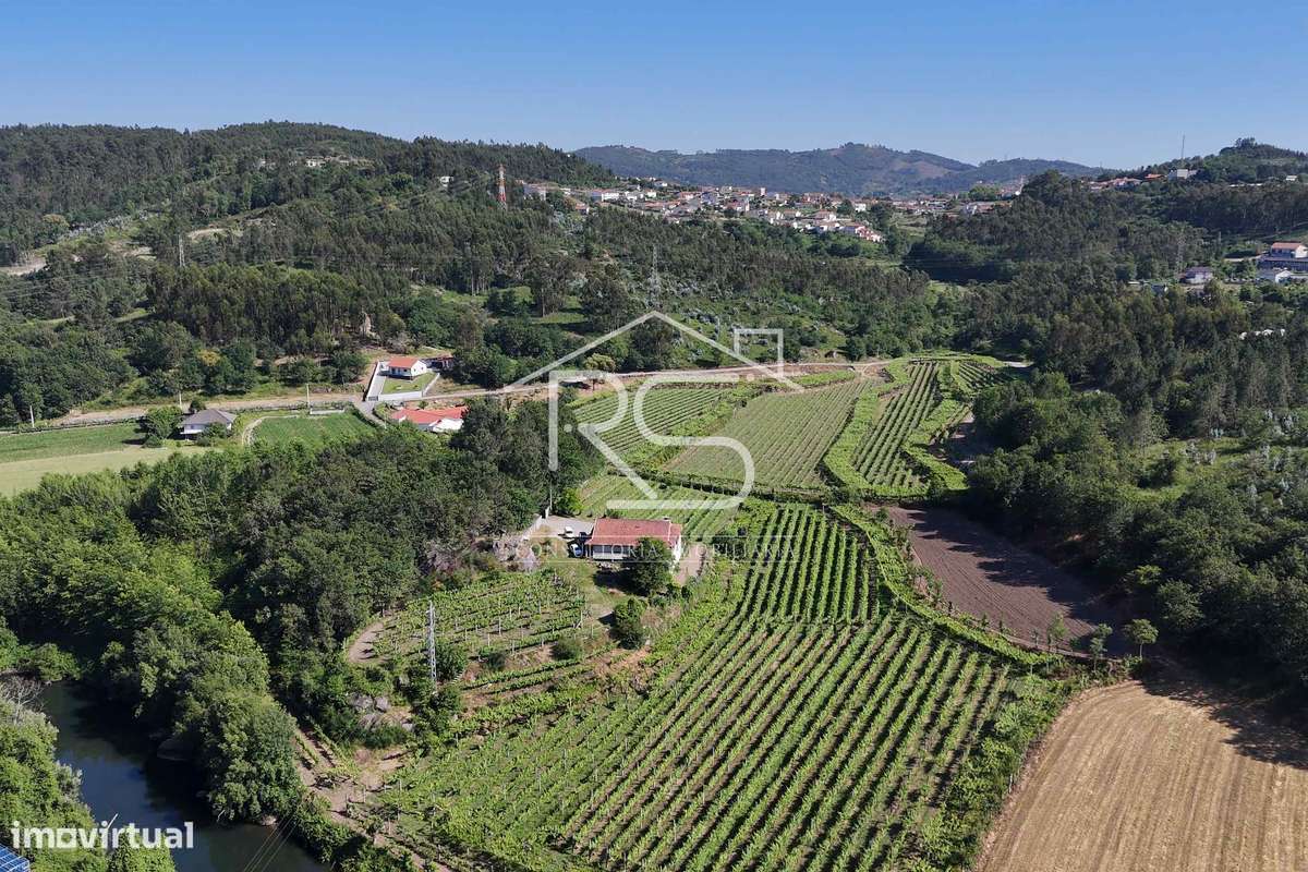 Quinta T6 | Selho São Jorge, Guimarães-11