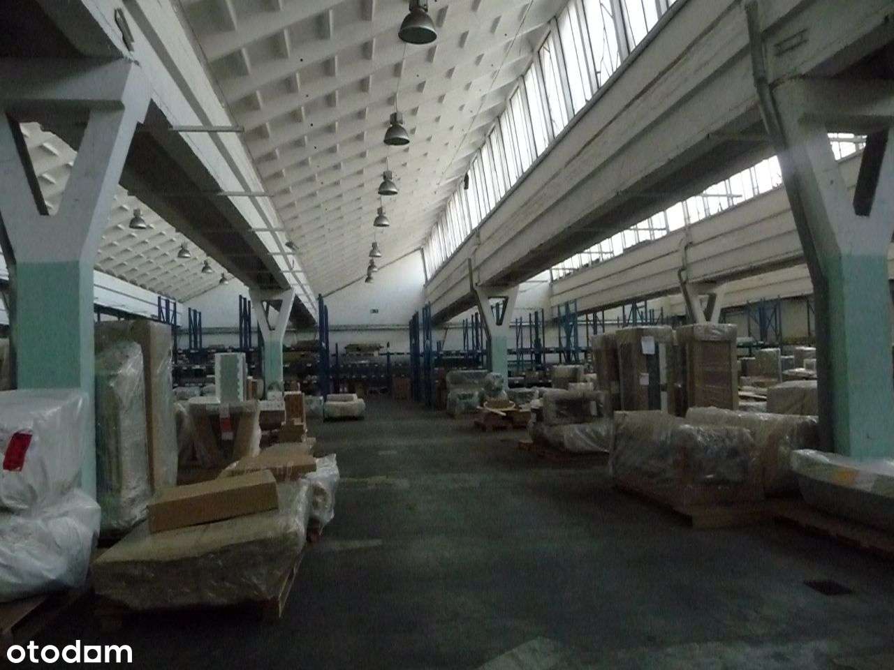 Kompleks magazynowo-produkcyjno-usługowy 13 125mkw - Pełny obrazek: 5/14