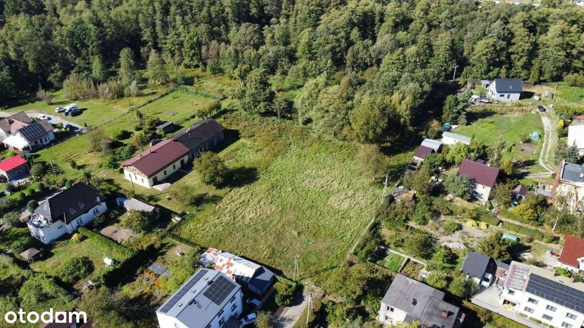 działka 8500m2 Długołęka-0