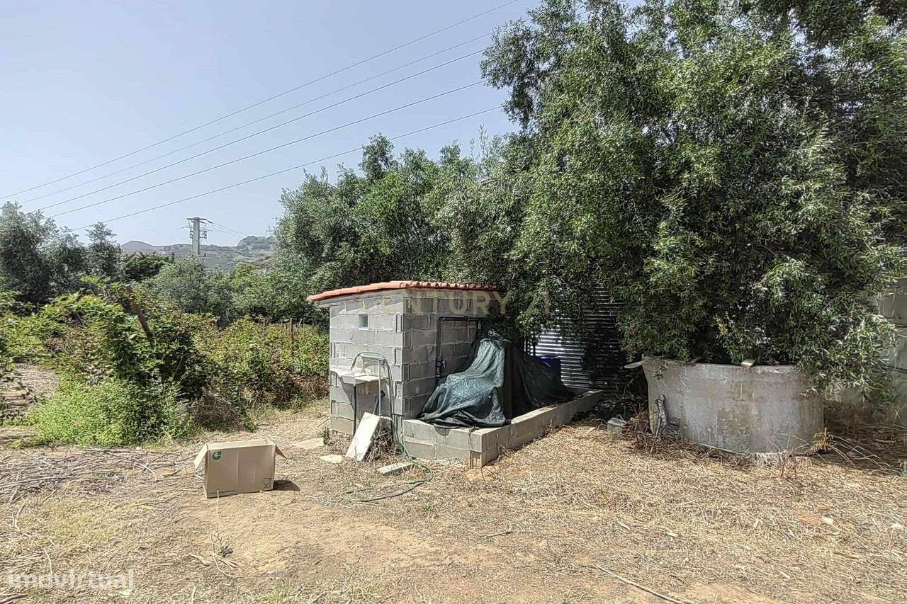 Terreno Multiusos com 3360m² junto às auto-estradas em Alverca do Riba - Grande imagem: 5/8