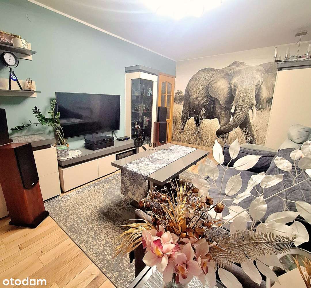 2 pokoje po remoncie, od południa, Nowy Parking-2