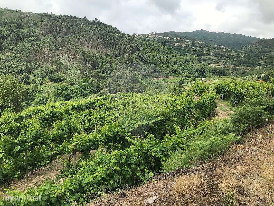 Terreno  para venda - Grande imagem: 4/13