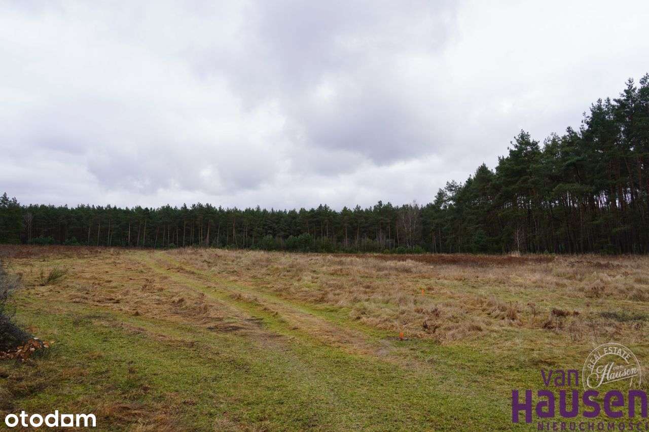 Działka, 3 202 m², Międzychód - Pełny obrazek: 5/9