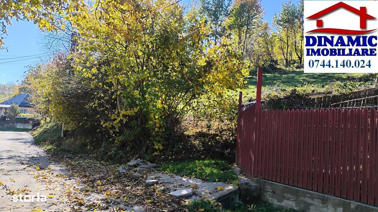 3600 mp teren intravilan, sat Bistrita, 16 Euro/mp-5