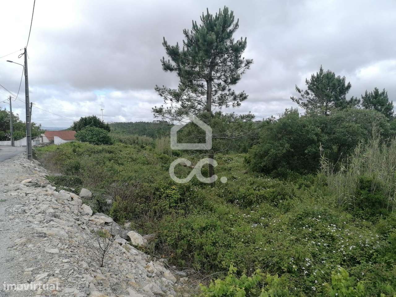 Terreno Rústico para venda em Reguengo Grande, Lourinhã-7
