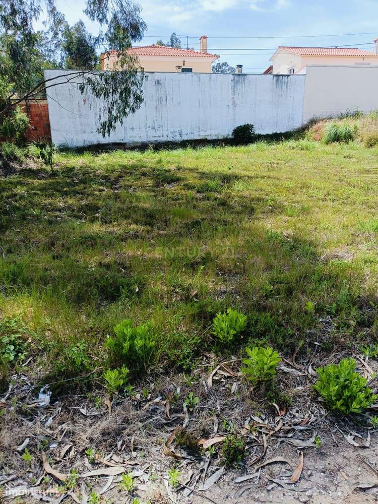 Terreno Urbano em Mamodeiro – Excelente Oportunidade de Construção-3