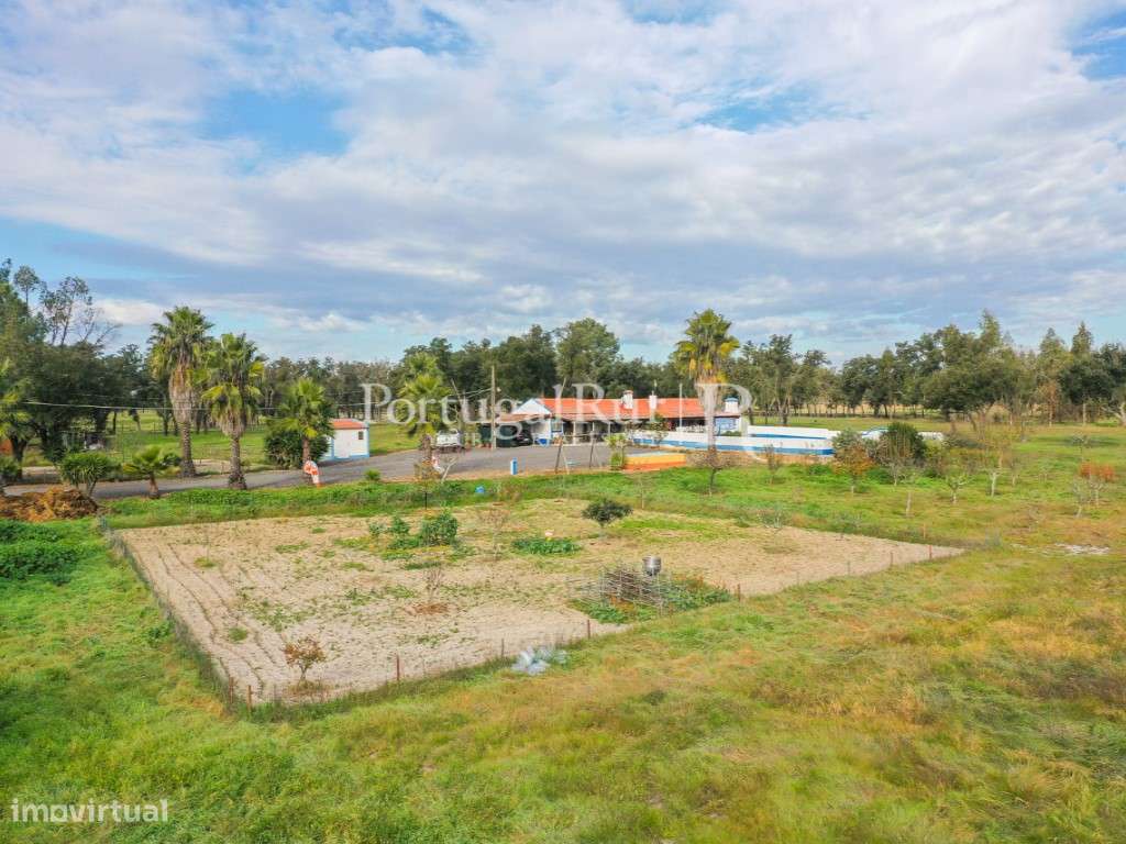Quinta de 5 hectares, com 2 moradias e piscina-7