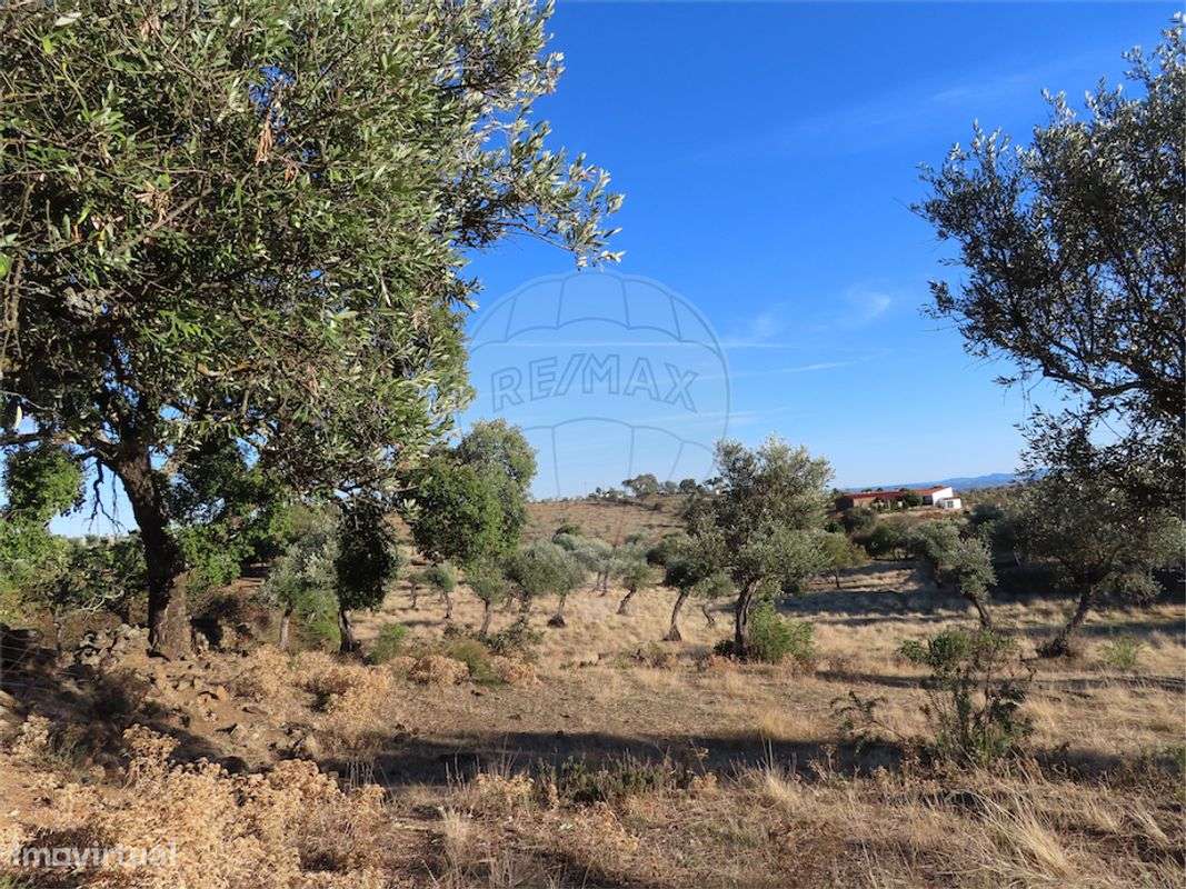 Quinta T0 para venda - Grande imagem: 2/20