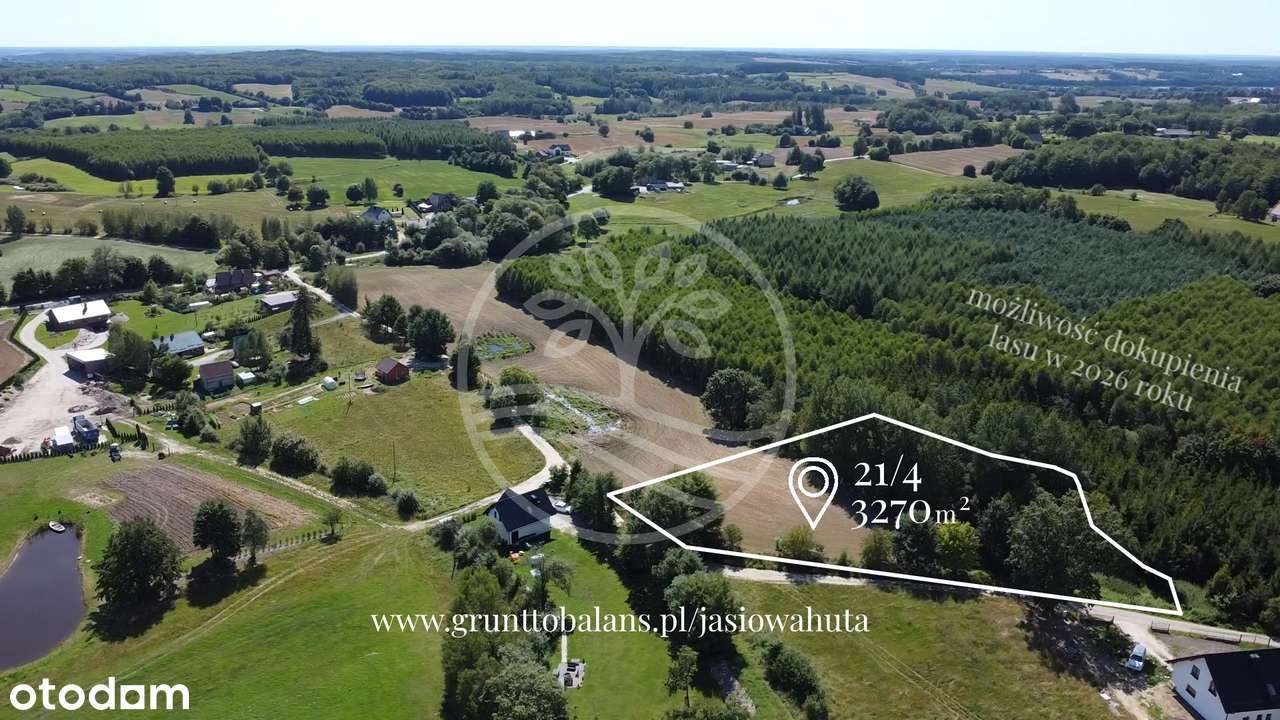 Duża działka z WZ | ściana lasu | wiele jezior - Pełny obrazek: 2/2