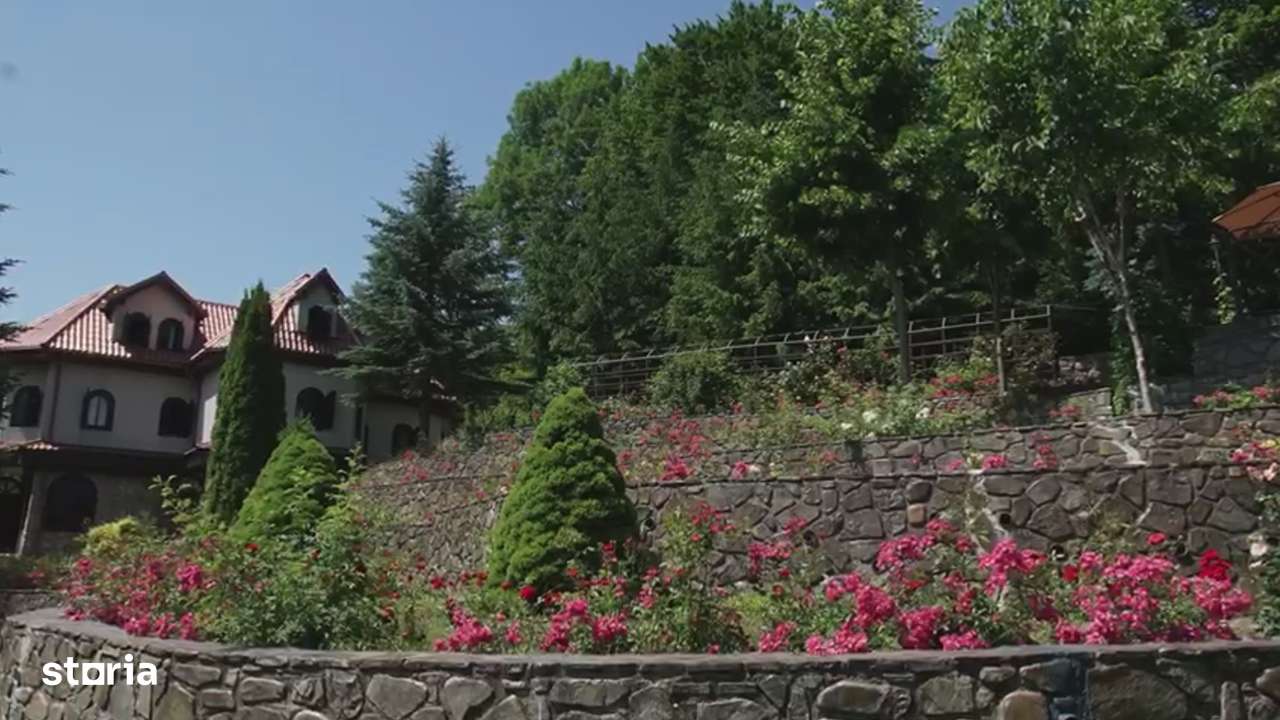 Vila de vanzare in Campina - Lunca Mare, teren 16500 MP - Imagine principală: 4/16