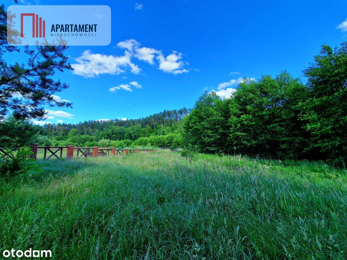 Tylko u Nas! Działka przy Wdzie w Borach Tucholski - Pełny obrazek: 5/10