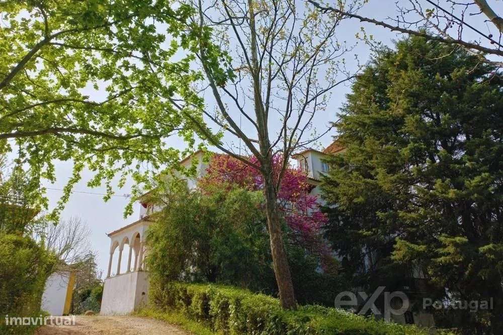 Quinta com Palacete Séc. XX - Grande imagem: 5/60