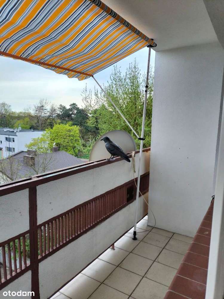 Mieszkanie 3 pokoje na Chojnach Od zaraz! - Pełny obrazek: 4/17