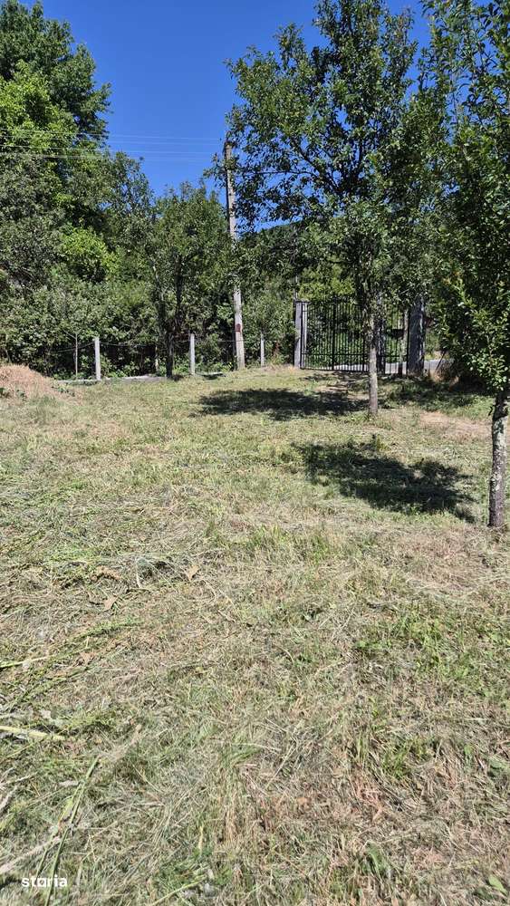 Teren de vânzare 600 mp Varădia de Mureș Sat Julița - Imagine principală: 5/5