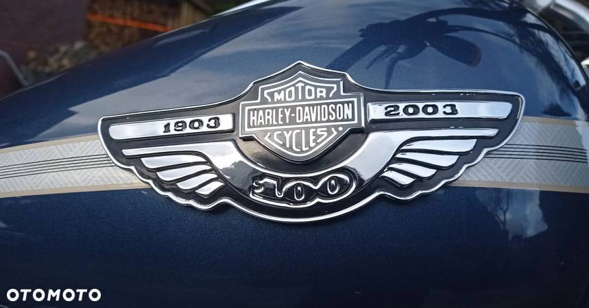 Harley-Davidson Dyna Wide Glide - 19