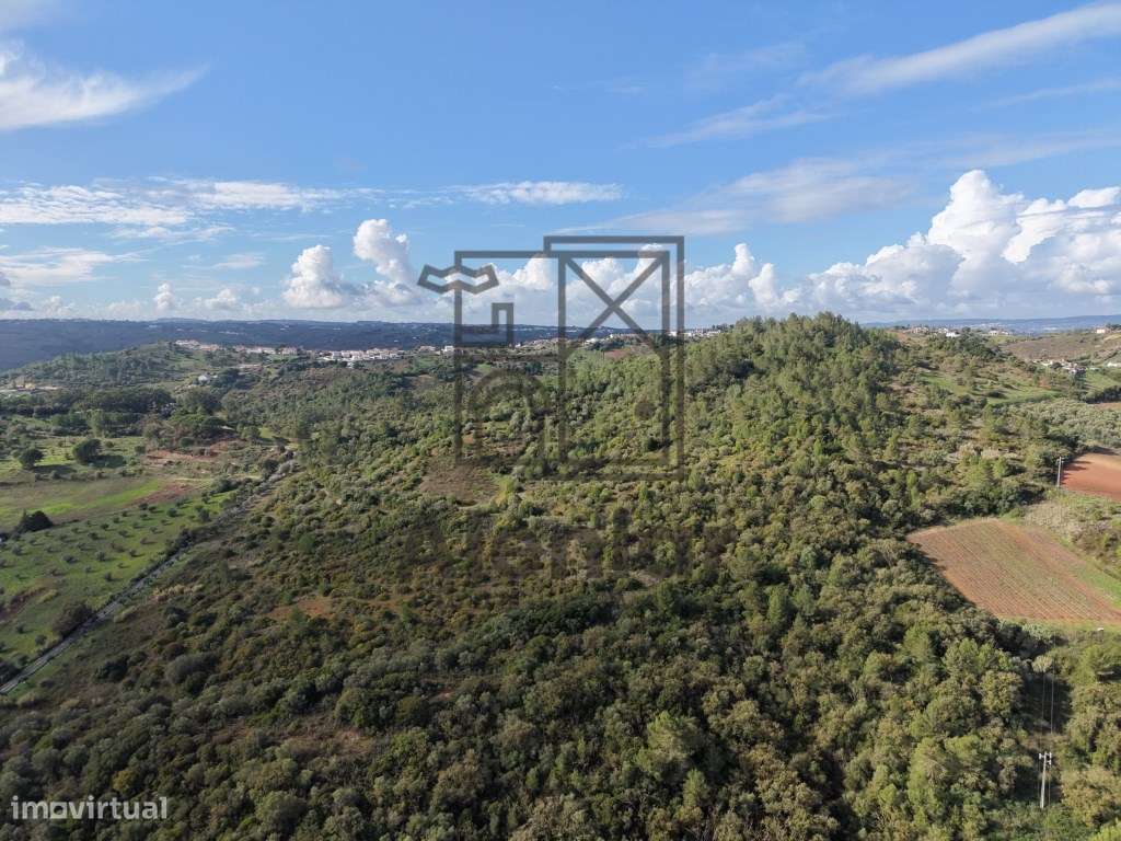 Oportunidade Única de Investimento Agrícola em Alenquer - Grande imagem: 5/27